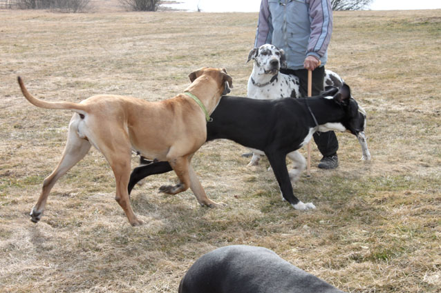 oh je ...mit meiner Mama ist nicht zu spa&szlig;en