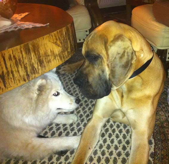 ...endlich kann ich schlafen