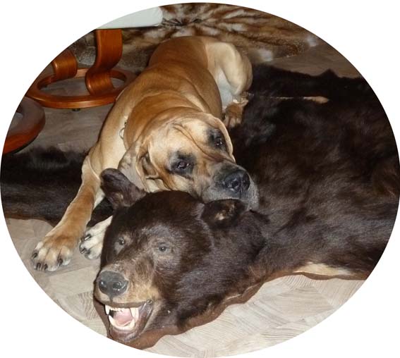 Da lob ich mir die F&uuml;rsorge meines Frauchens