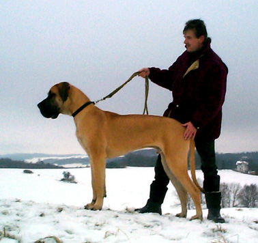 ...Pferde und Reiten