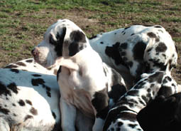Bei Mama ist es am sch&ouml;nsten.