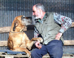 Zwiesprache mit Herrchen