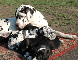 Pflegestunde mit Mama
