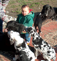 Enkelin Kira ist unsere Kragenweite!