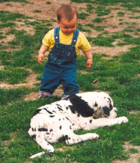 Unkas ist so sch&ouml;n cool!